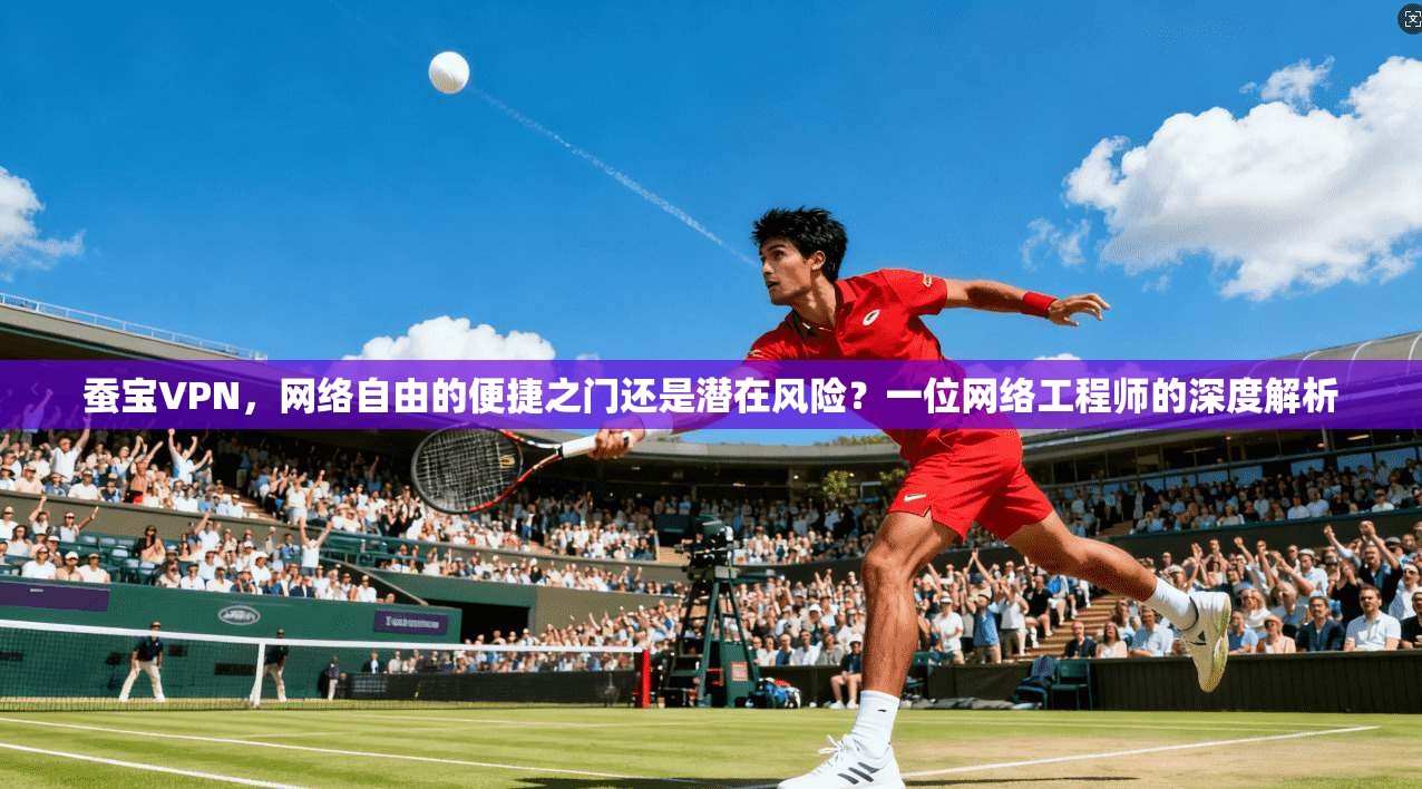 蚕宝VPN，网络自由的便捷之门还是潜在风险？一位网络工程师的深度解析