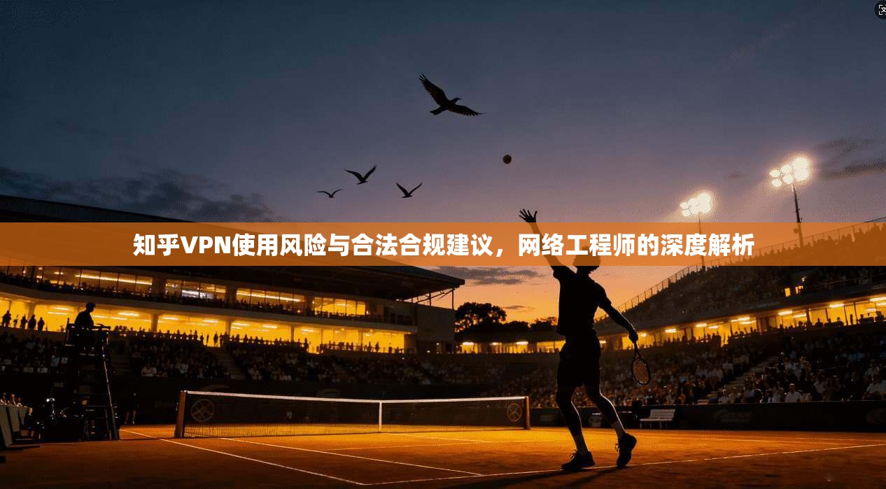 知乎VPN使用风险与合法合规建议，网络工程师的深度解析