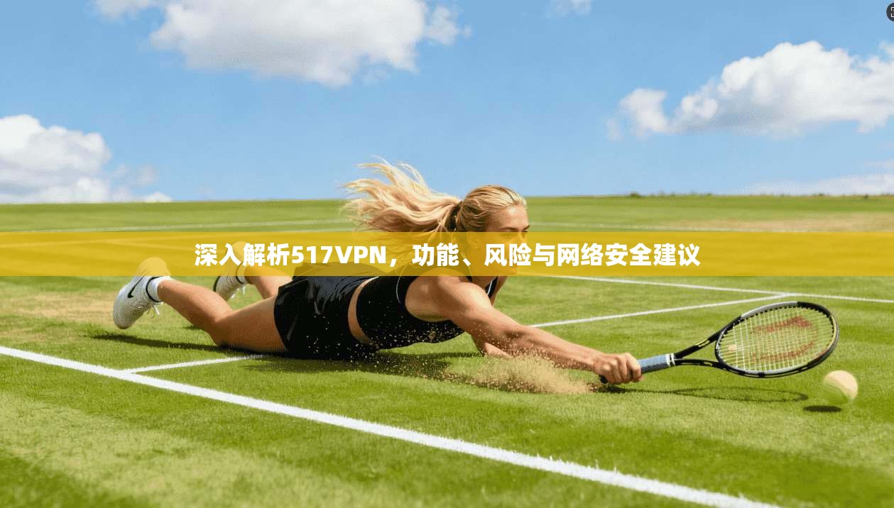 深入解析517VPN，功能、风险与网络安全建议