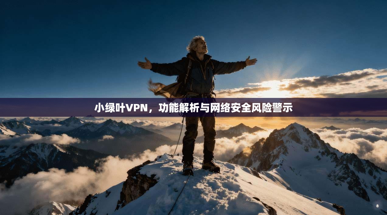 小绿叶VPN，功能解析与网络安全风险警示