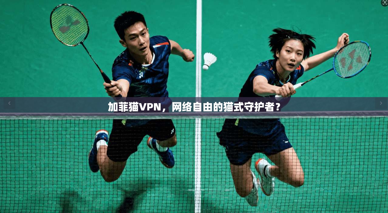 加菲猫VPN，网络自由的猫式守护者？