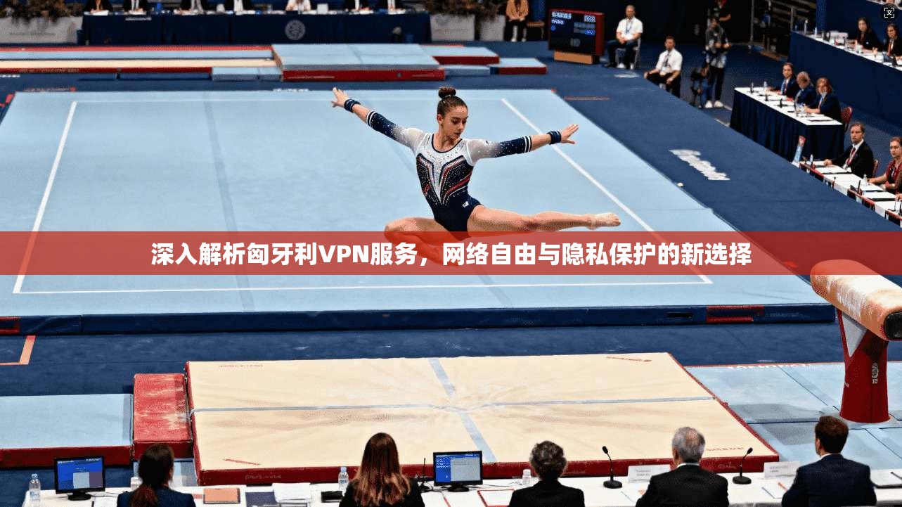 深入解析匈牙利VPN服务，网络自由与隐私保护的新选择