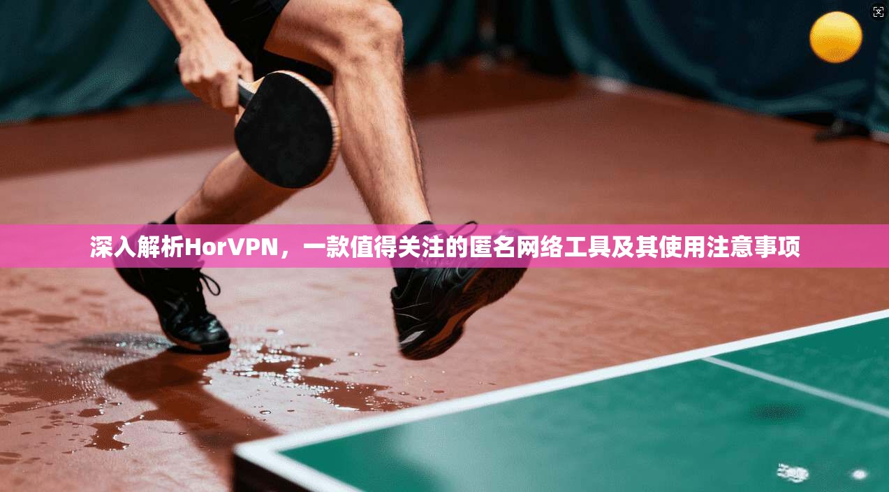 深入解析HorVPN，一款值得关注的匿名网络工具及其使用注意事项