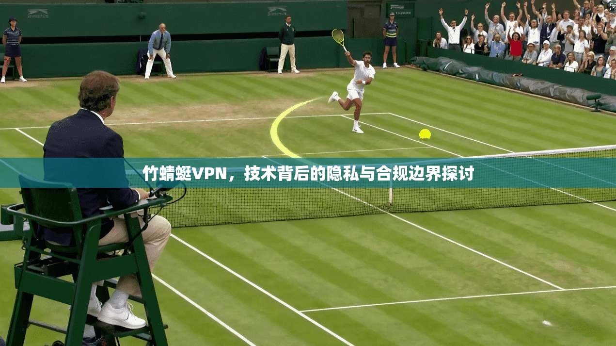 竹蜻蜓VPN，技术背后的隐私与合规边界探讨