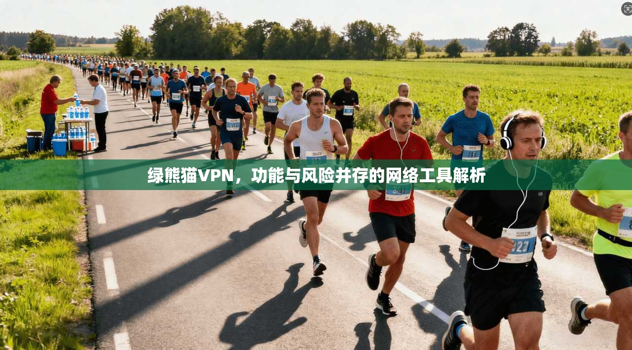 绿熊猫VPN，功能与风险并存的网络工具解析