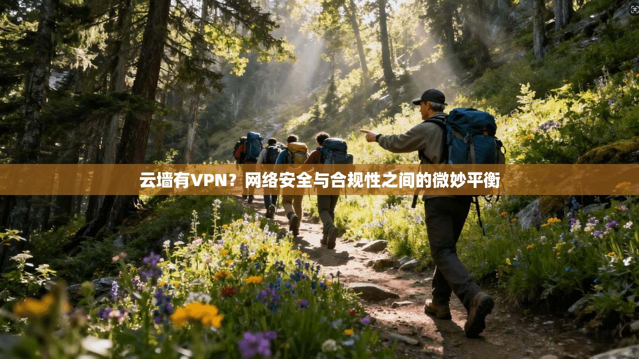 云墙有VPN？网络安全与合规性之间的微妙平衡