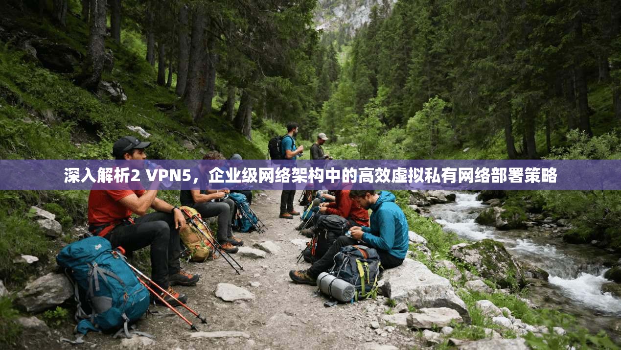 深入解析2 VPN5,企业级网络架构中的高效虚拟私有网络部署策略