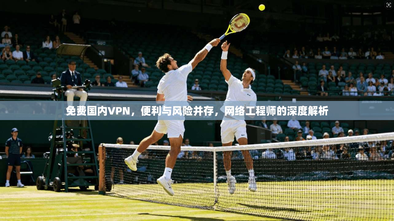 免费国内VPN，便利与风险并存，网络工程师的深度解析
