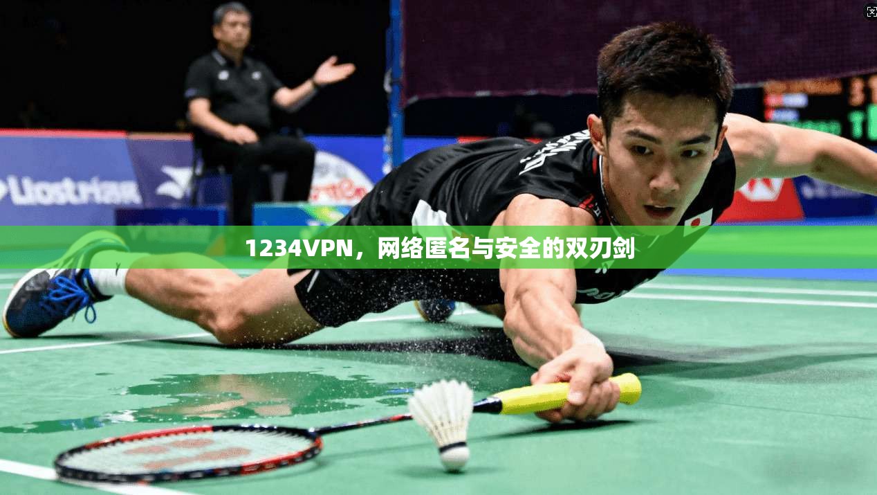 1234VPN，网络匿名与安全的双刃剑