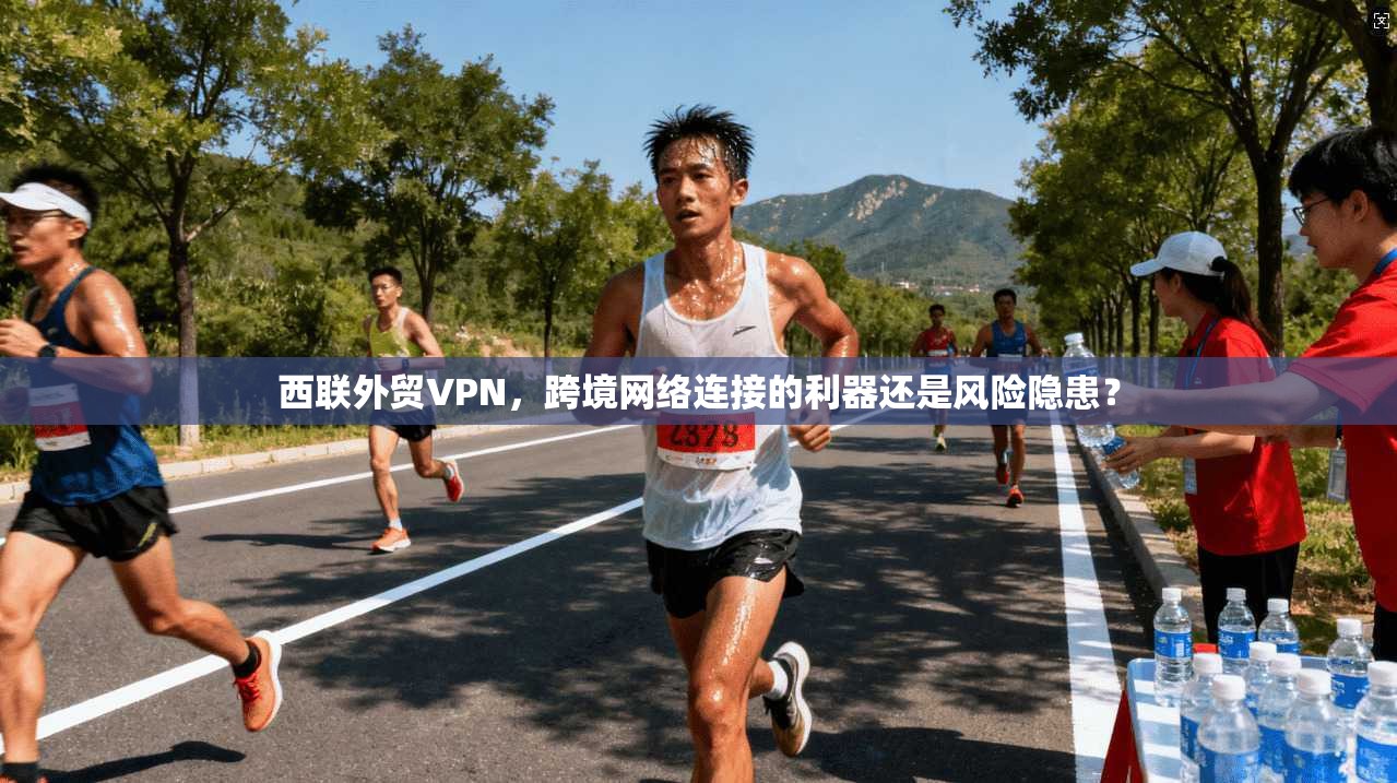 西联外贸VPN,跨境网络连接的利器还是风险隐患?