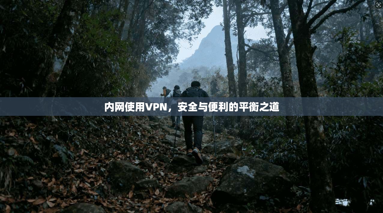 内网使用VPN，安全与便利的平衡之道