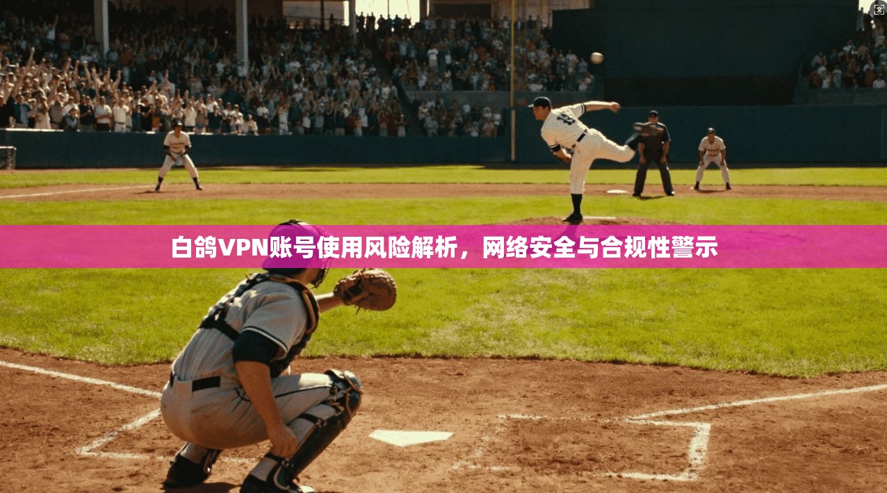 白鸽VPN账号使用风险解析，网络安全与合规性警示
