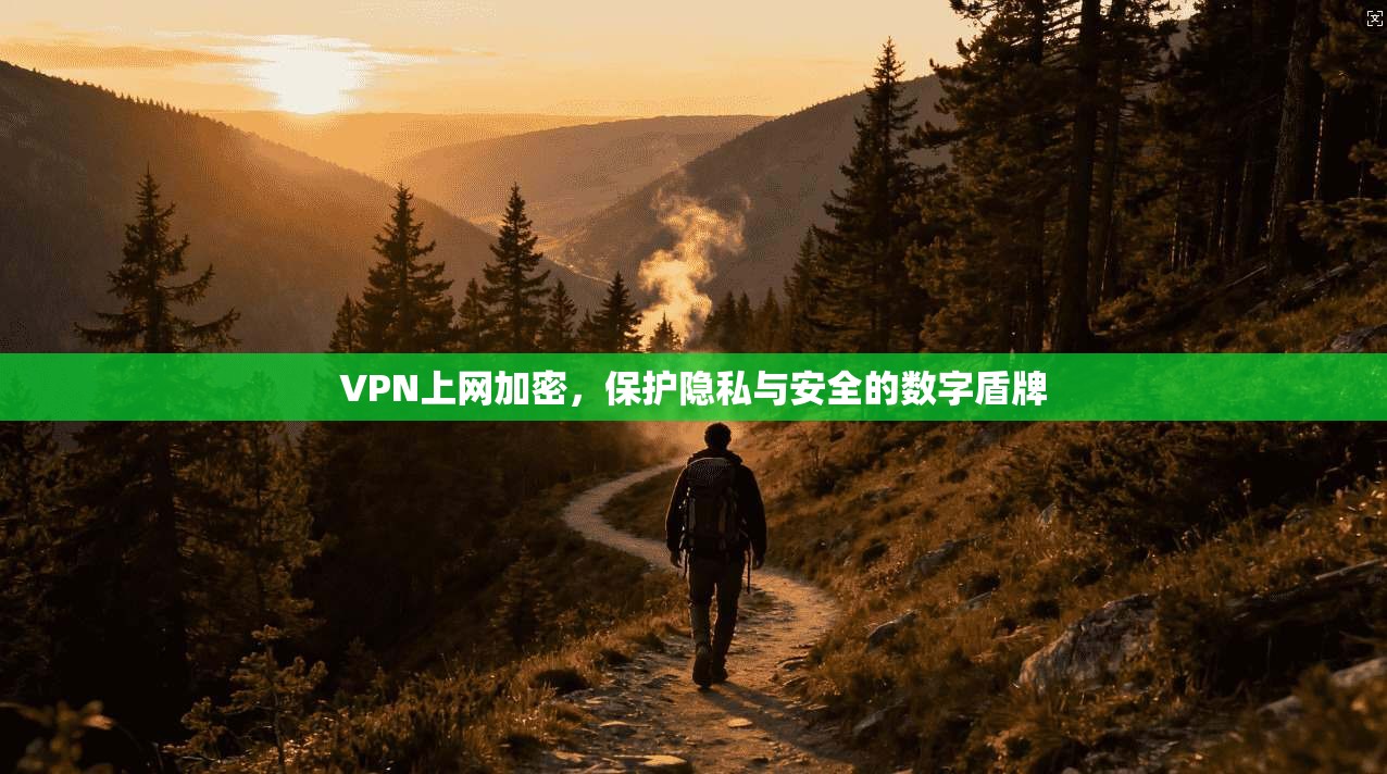 VPN上网加密，保护隐私与安全的数字盾牌