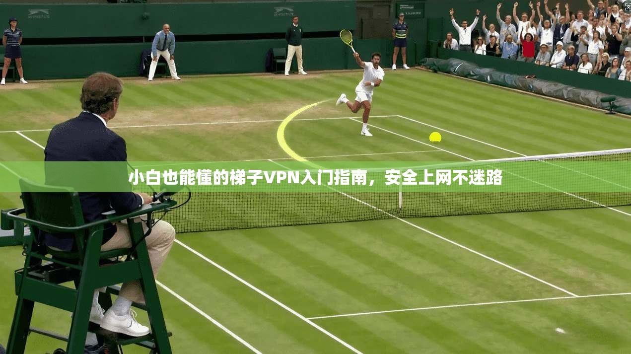 小白也能懂的梯子VPN入门指南，安全上网不迷路