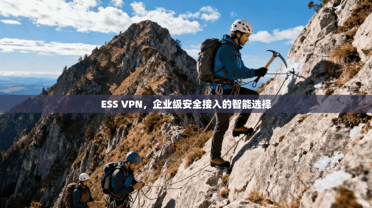 ESS VPN，企业级安全接入的智能选择