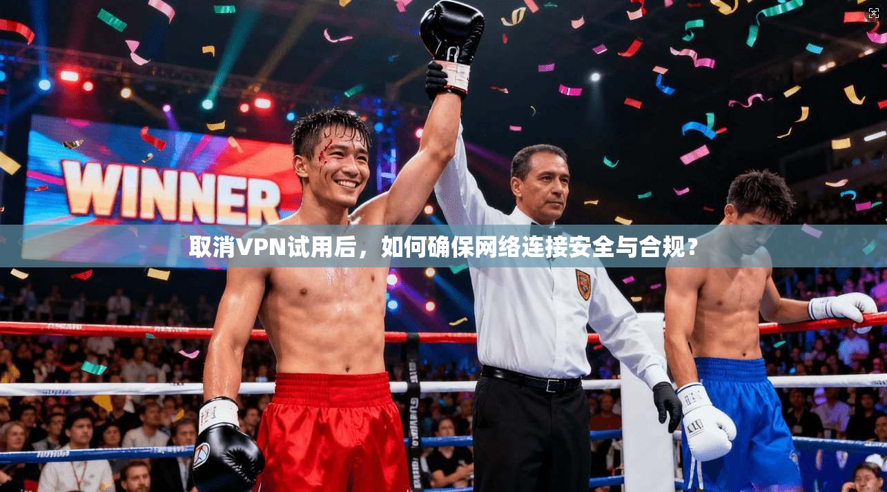 取消VPN试用后，如何确保网络连接安全与合规？