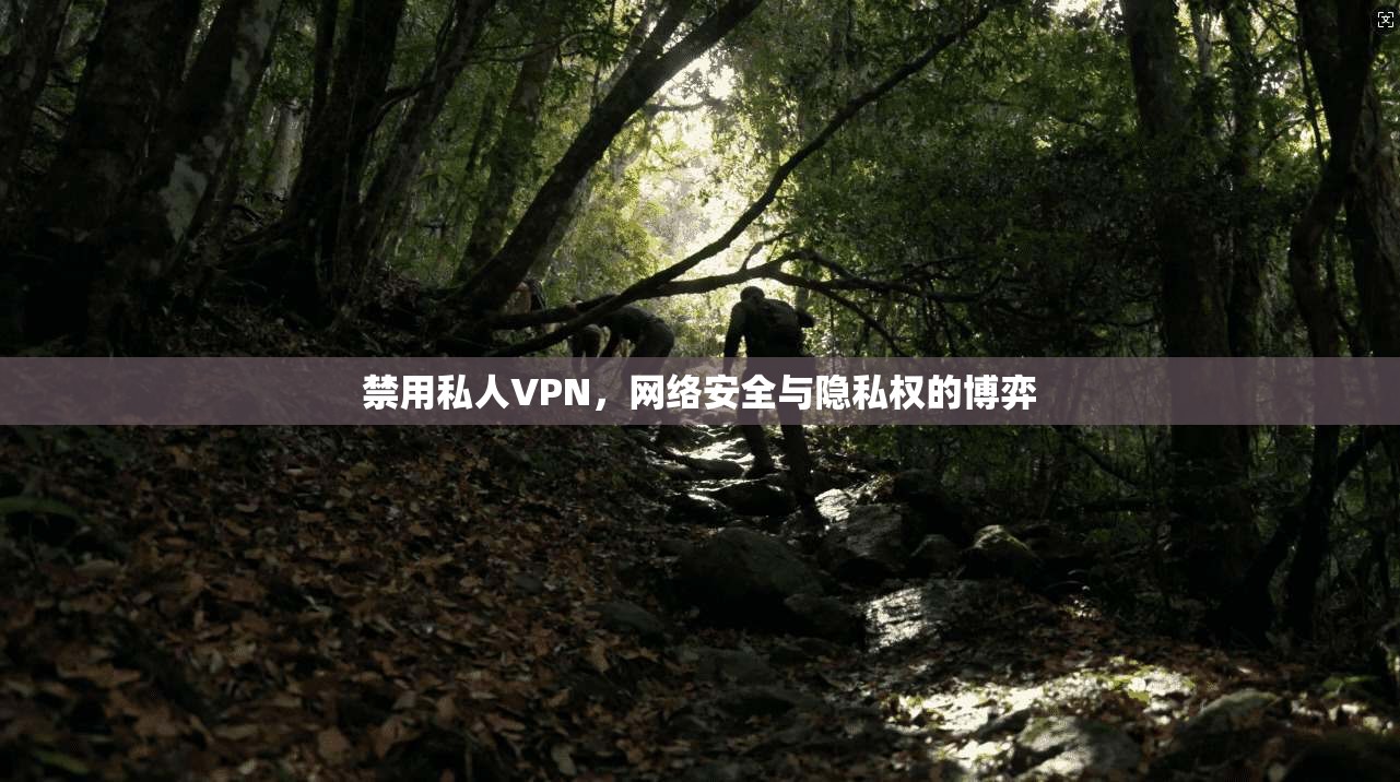 禁用私人VPN，网络安全与隐私权的博弈