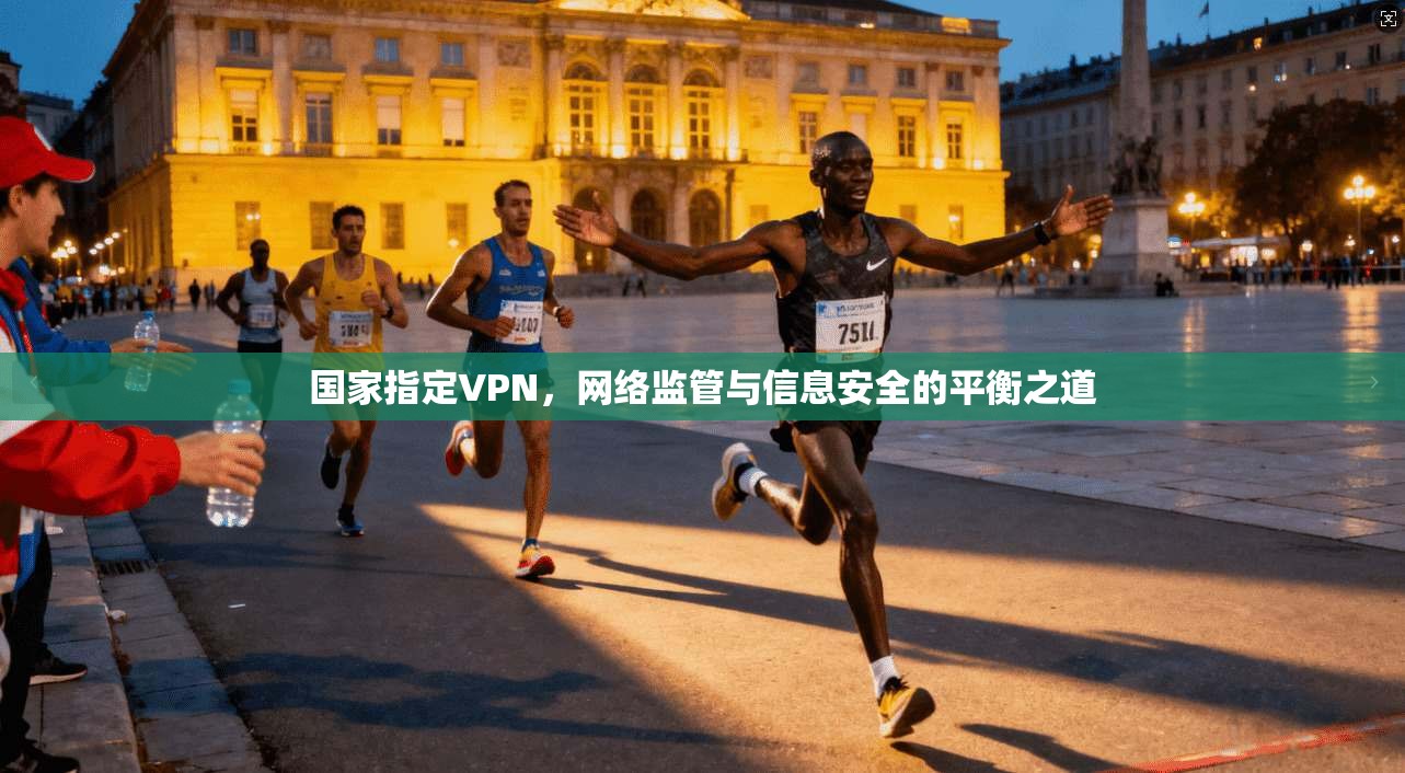 国家指定VPN，网络监管与信息安全的平衡之道