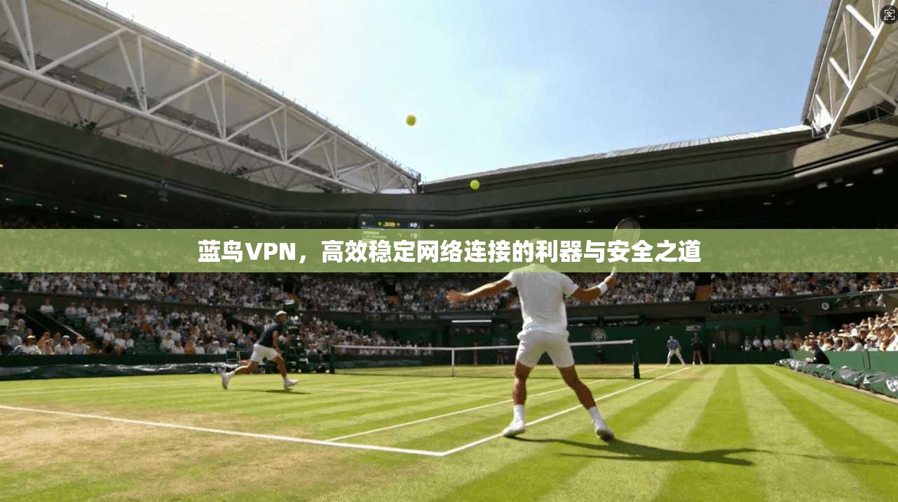 蓝鸟VPN，高效稳定网络连接的利器与安全之道
