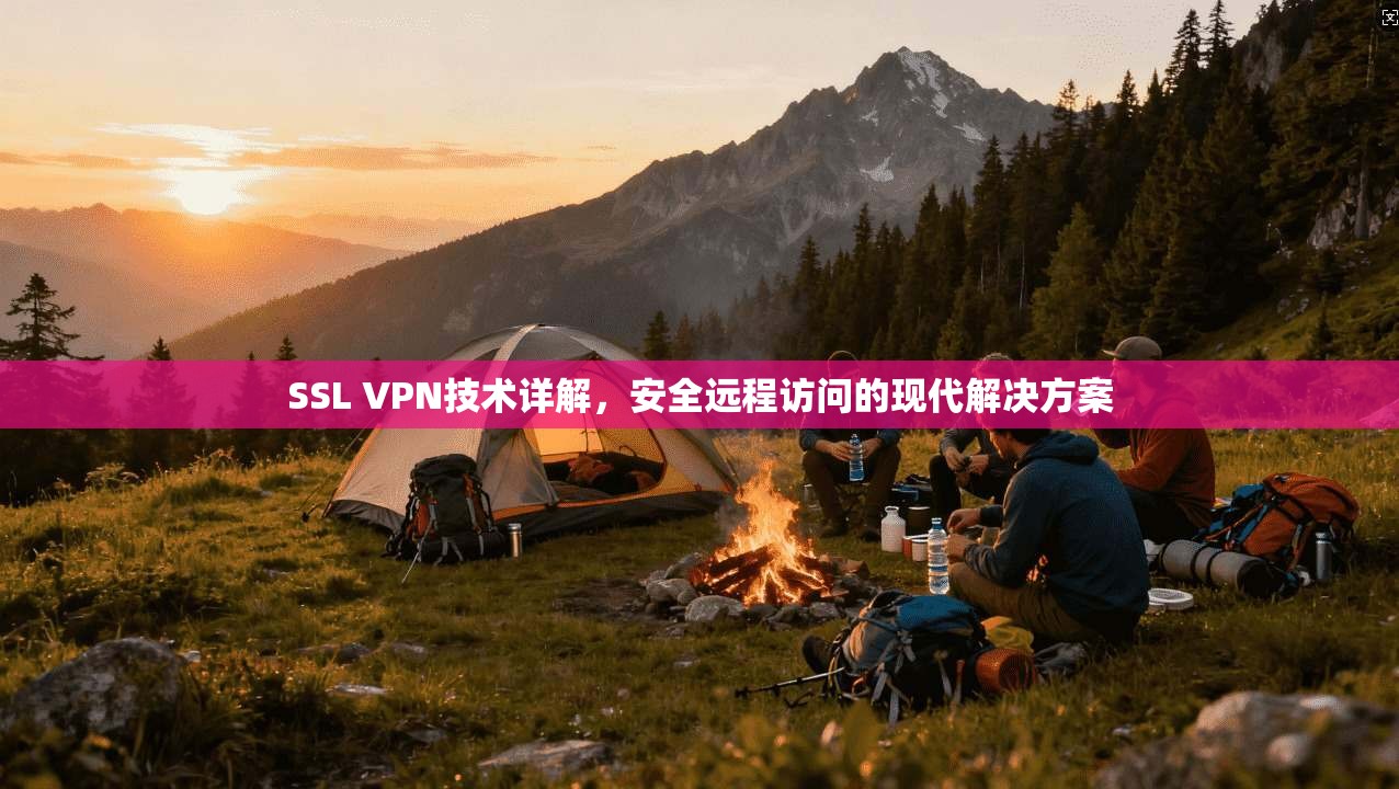 SSL VPN技术详解,安全远程访问的现代解决方案