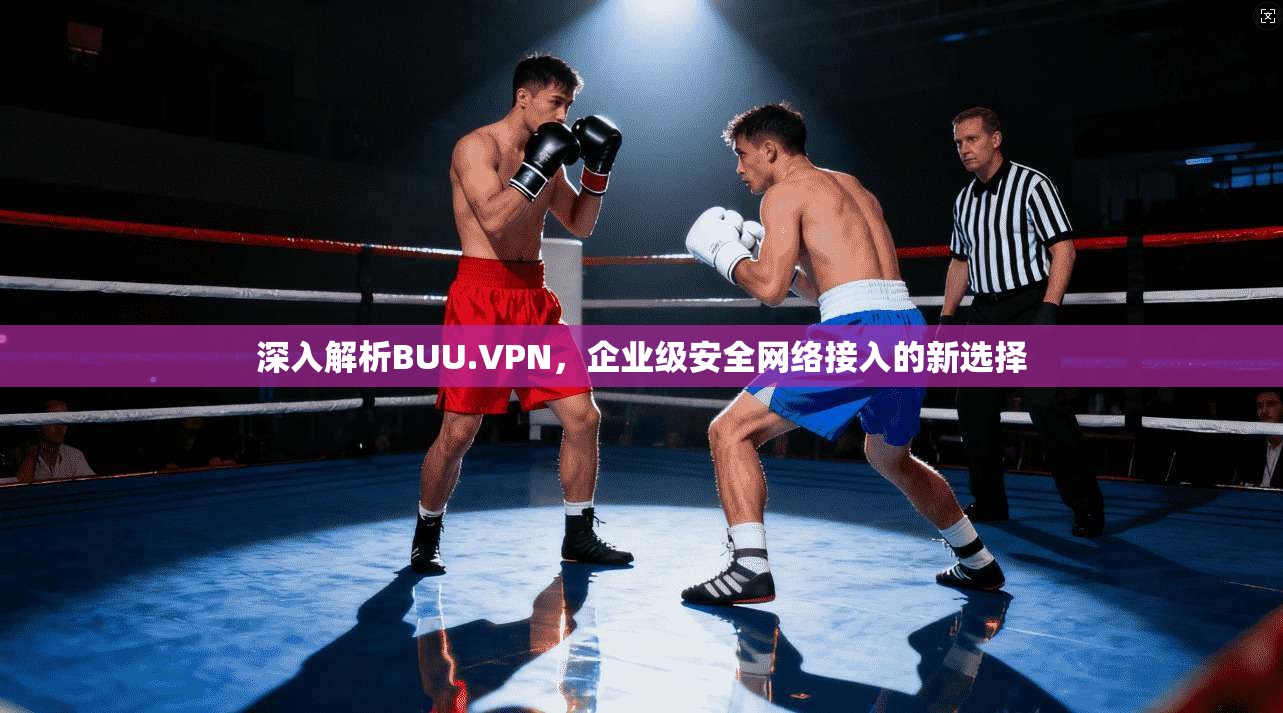 深入解析BUU.VPN，企业级安全网络接入的新选择