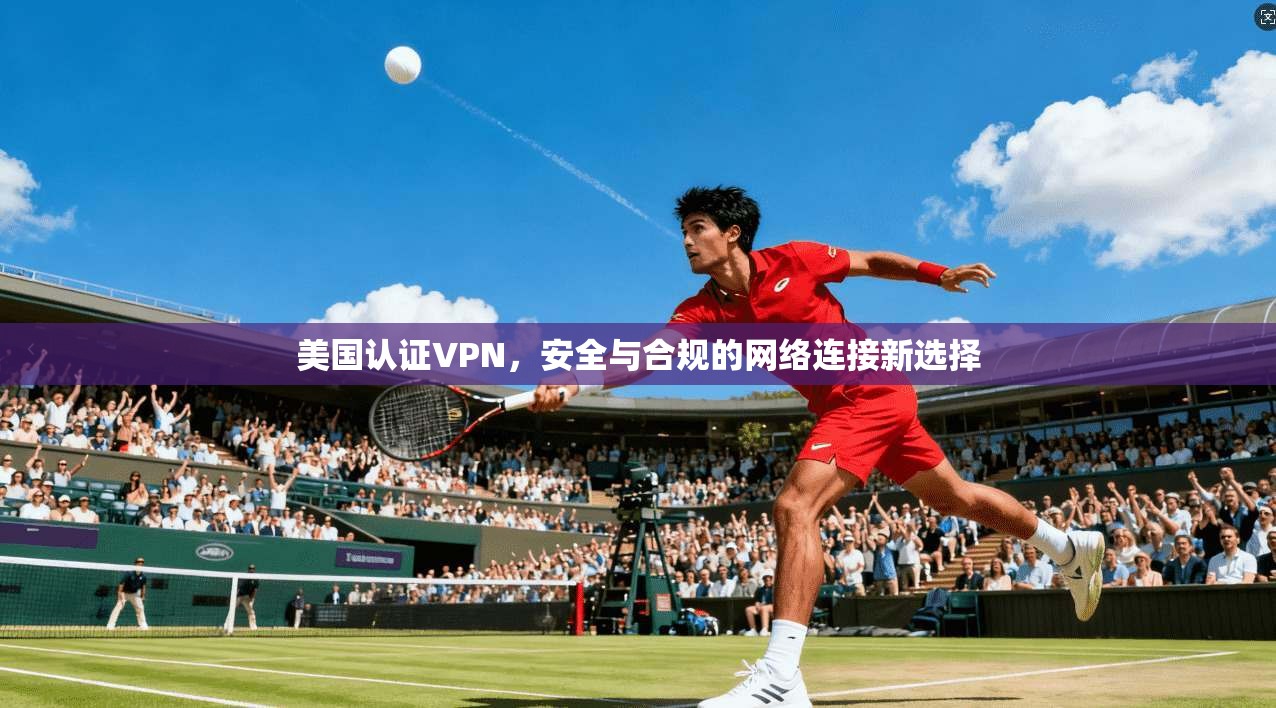 美国认证VPN，安全与合规的网络连接新选择