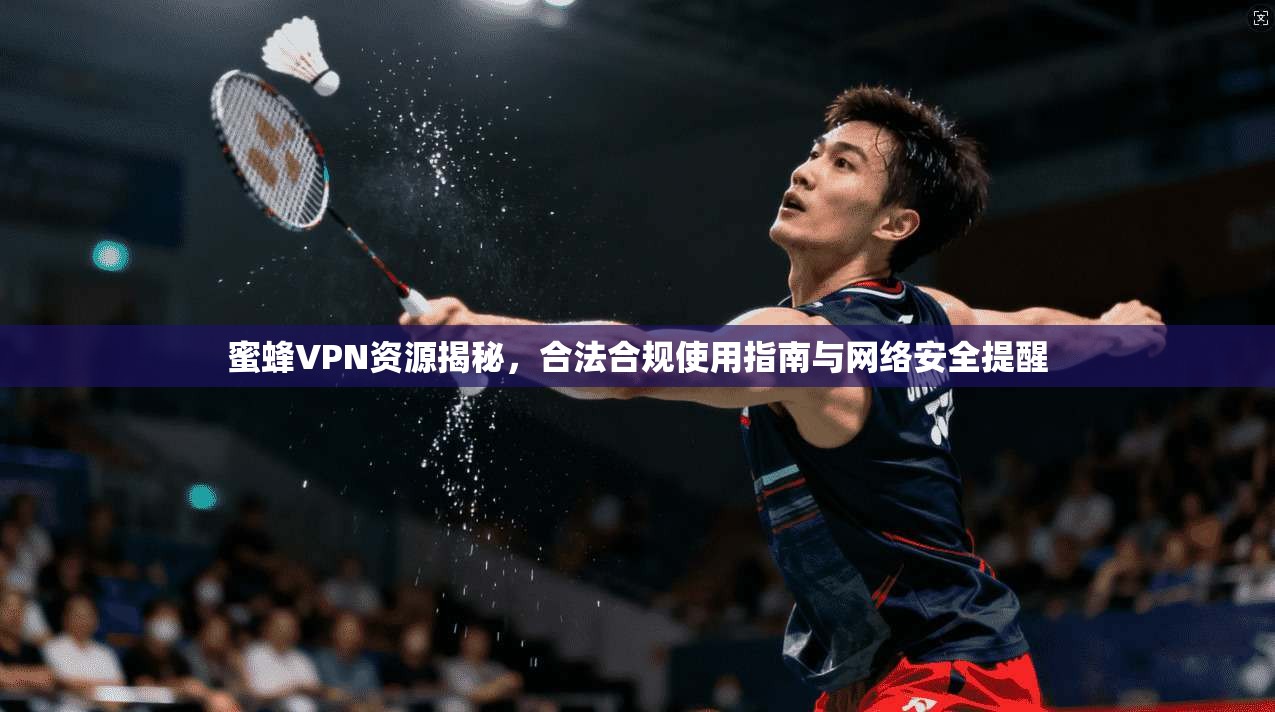 蜜蜂VPN资源揭秘，合法合规使用指南与网络安全提醒