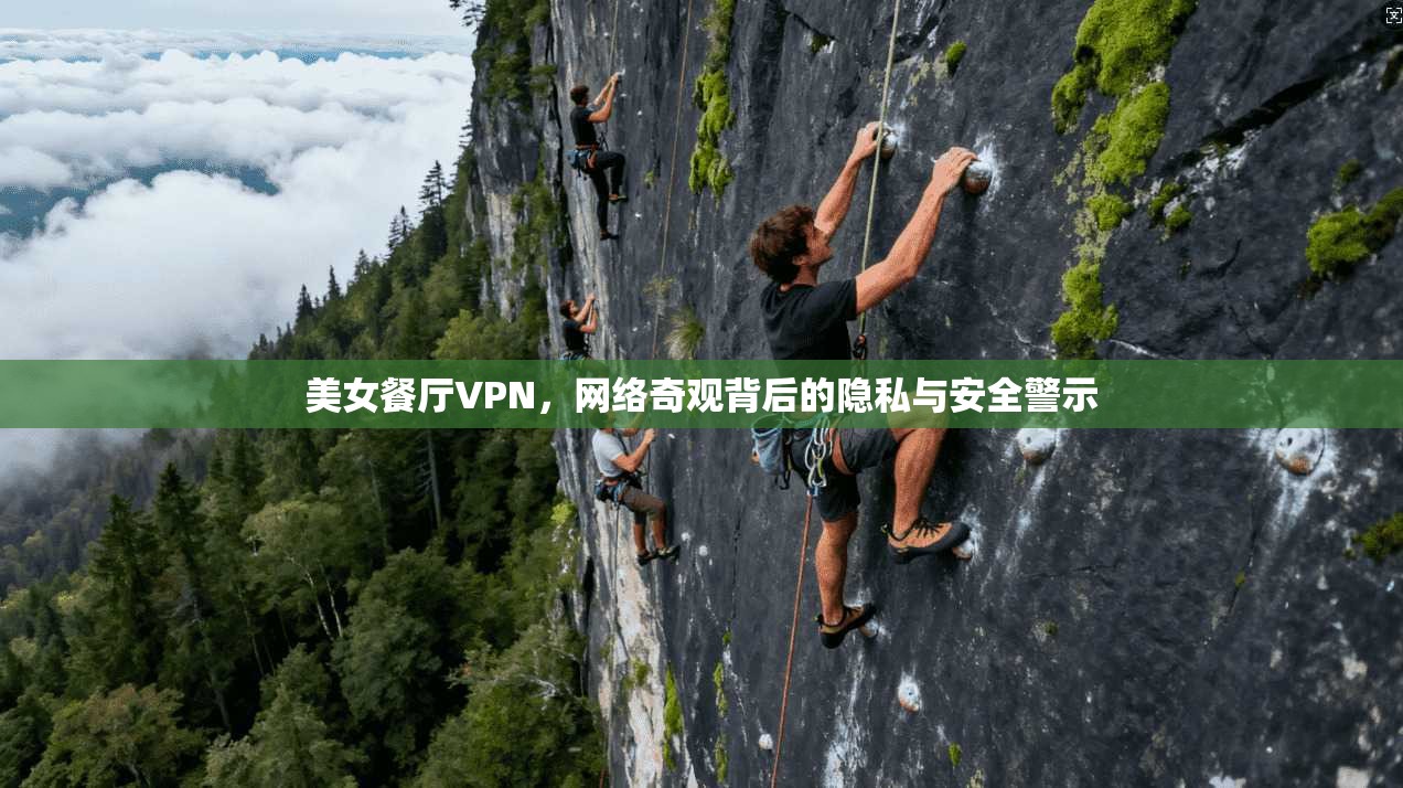 美女餐厅VPN,网络奇观背后的隐私与安全警示
