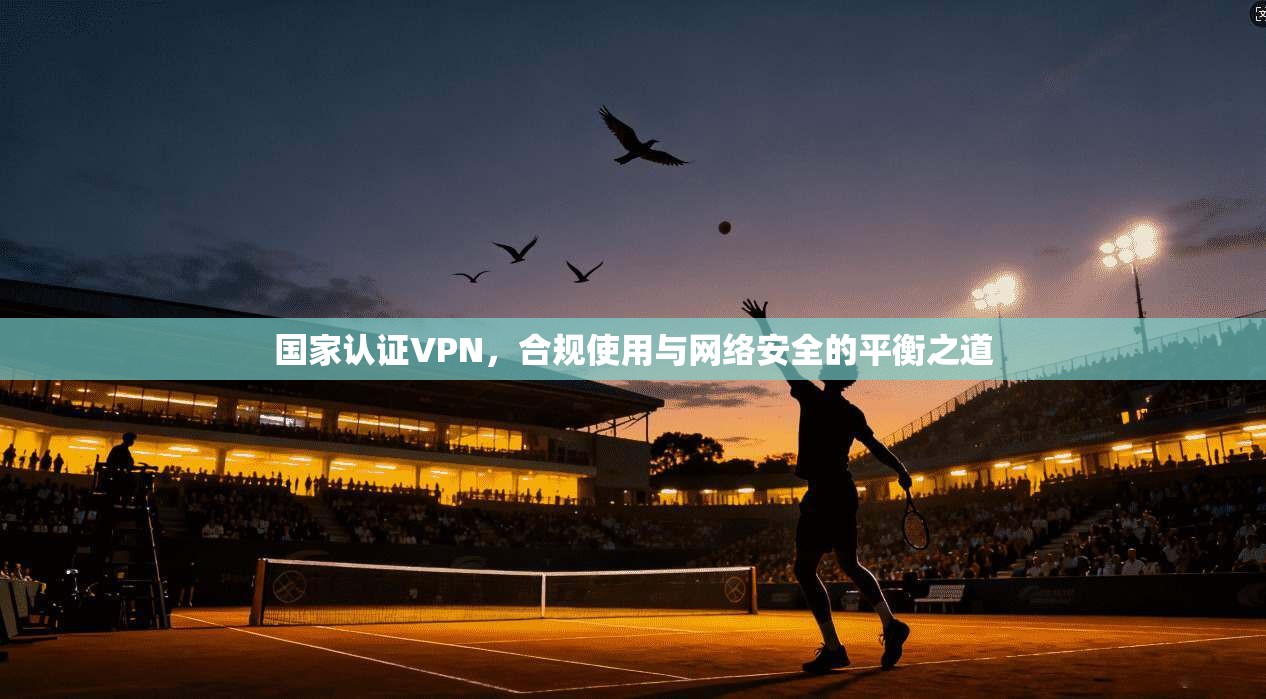 国家认证VPN,合规使用与网络安全的平衡之道