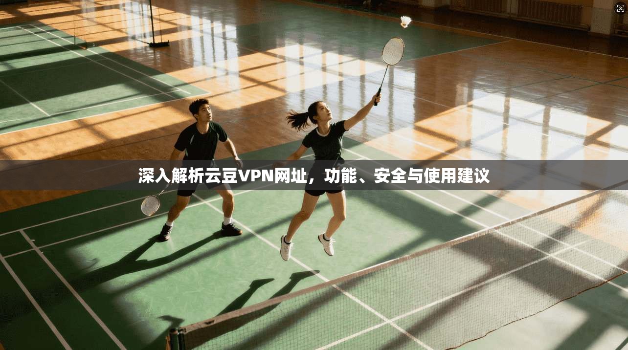 深入解析云豆VPN网址，功能、安全与使用建议