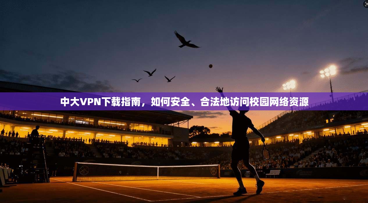 中大VPN下载指南,如何安全、合法地访问校园网络资源