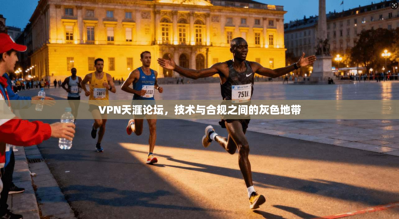 VPN天涯论坛,技术与合规之间的灰色地带