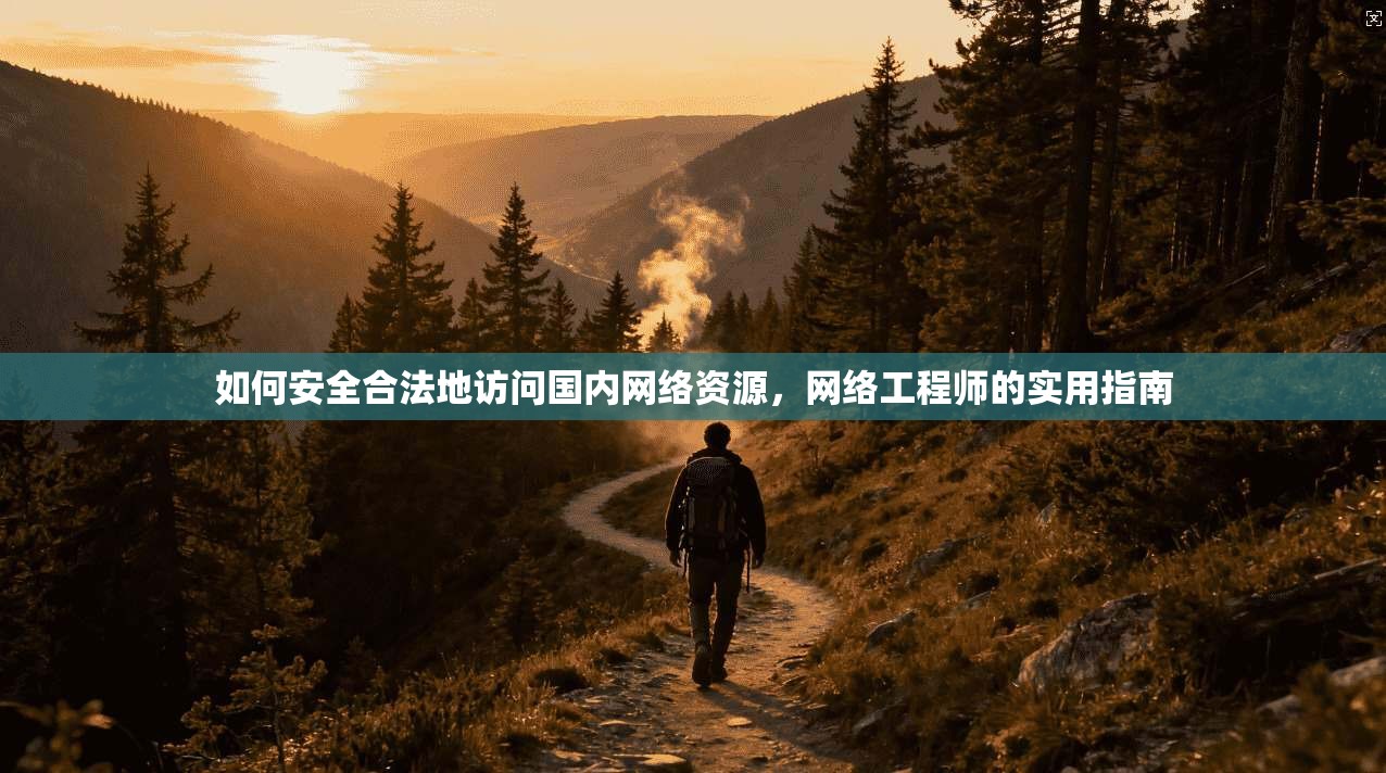 如何安全合法地访问国内网络资源，网络工程师的实用指南