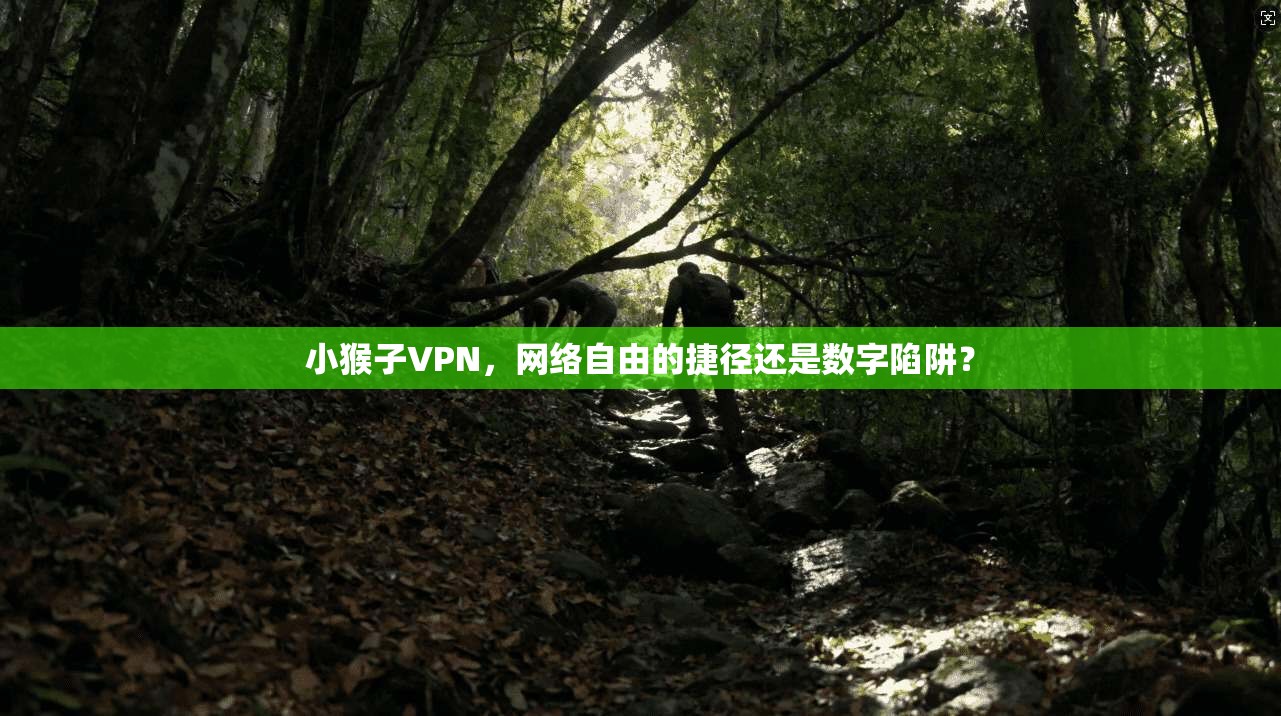 小猴子VPN，网络自由的捷径还是数字陷阱？