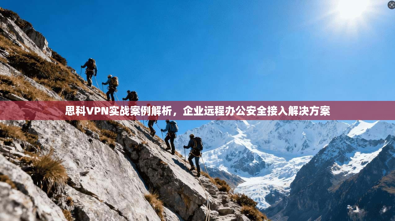 思科VPN实战案例解析，企业远程办公安全接入解决方案
