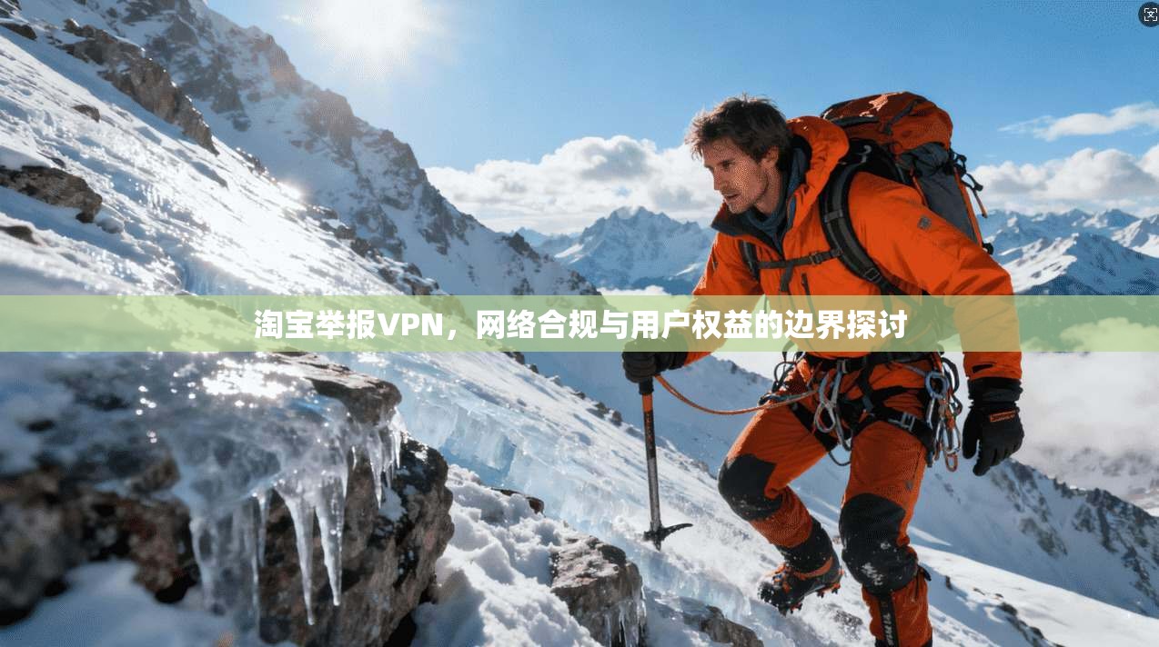 淘宝举报VPN，网络合规与用户权益的边界探讨