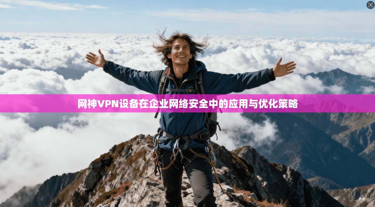 网神VPN设备在企业网络安全中的应用与优化策略