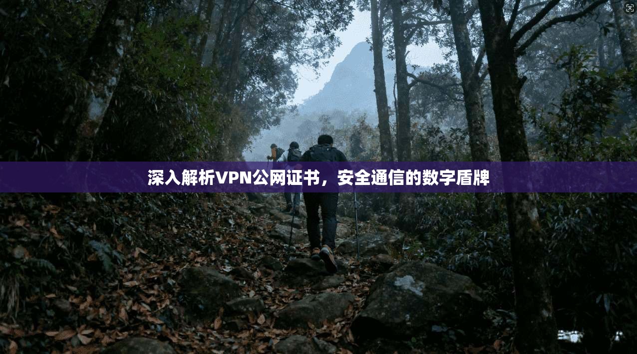 深入解析VPN公网证书，安全通信的数字盾牌