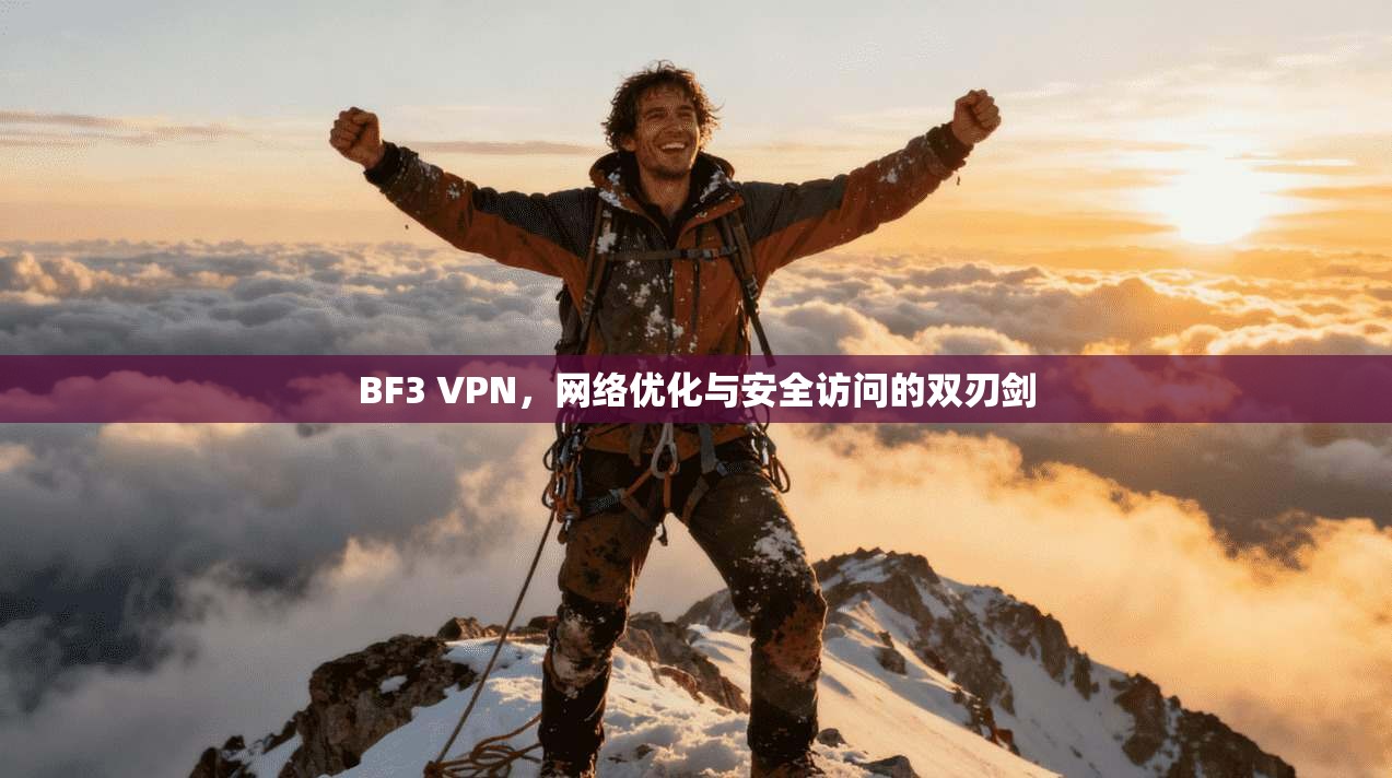 BF3 VPN，网络优化与安全访问的双刃剑