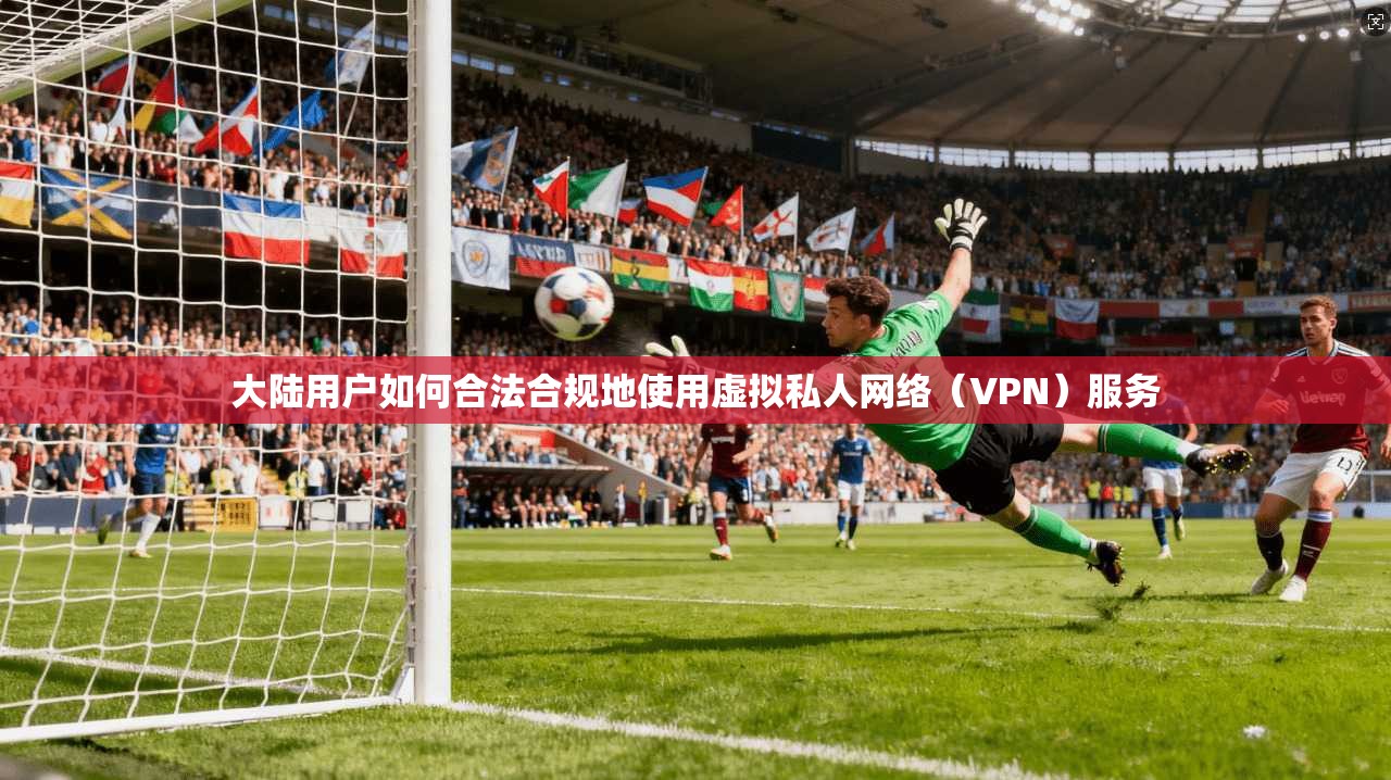 大陆用户如何合法合规地使用虚拟私人网络(VPN)服务