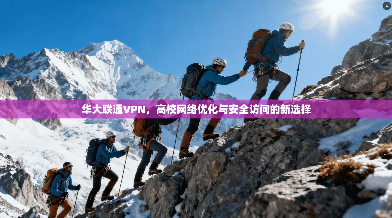 华大联通VPN,高校网络优化与安全访问的新选择
