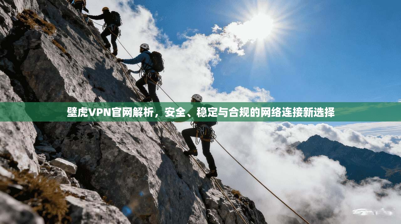 壁虎VPN官网解析，安全、稳定与合规的网络连接新选择