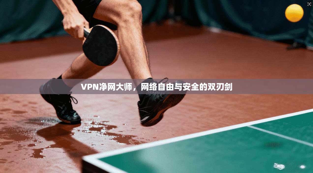VPN净网大师，网络自由与安全的双刃剑