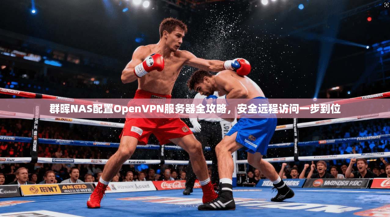 群晖NAS配置OpenVPN服务器全攻略，安全远程访问一步到位