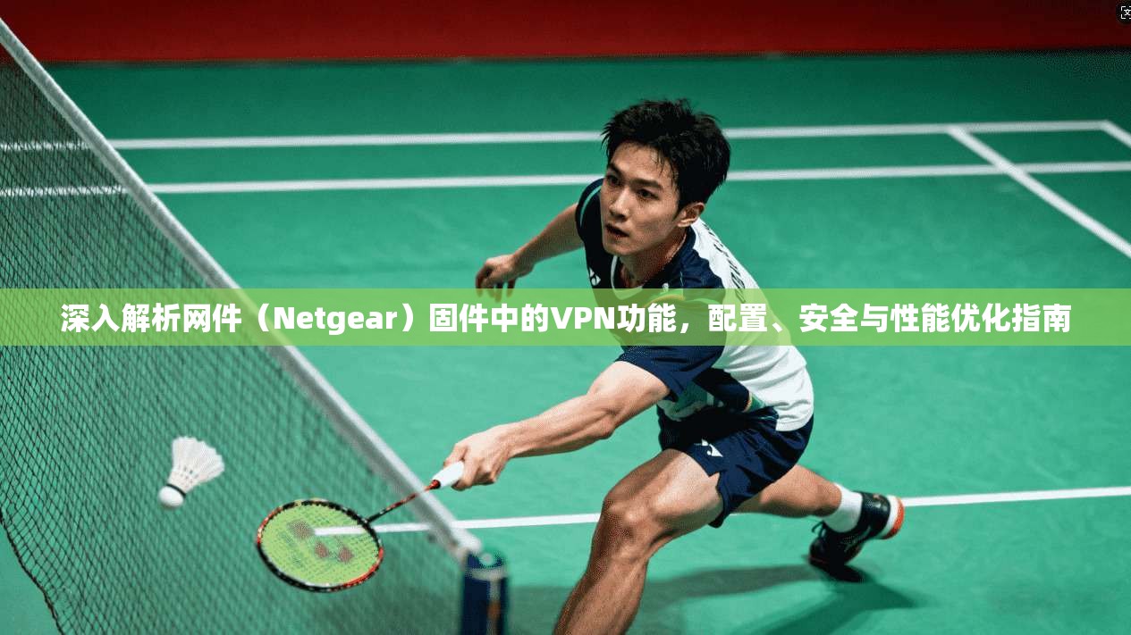 深入解析网件（Netgear）固件中的VPN功能，配置、安全与性能优化指南