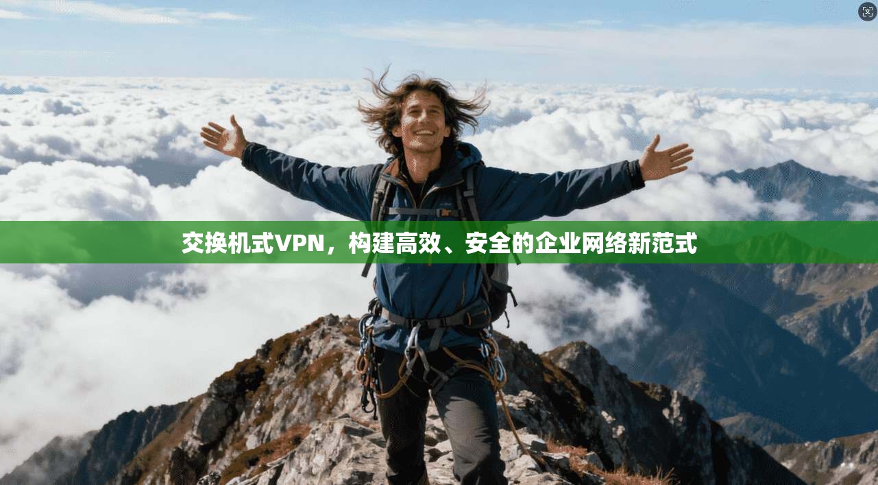 交换机式VPN，构建高效、安全的企业网络新范式