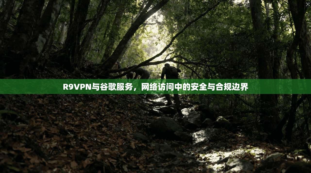 R9VPN与谷歌服务，网络访问中的安全与合规边界