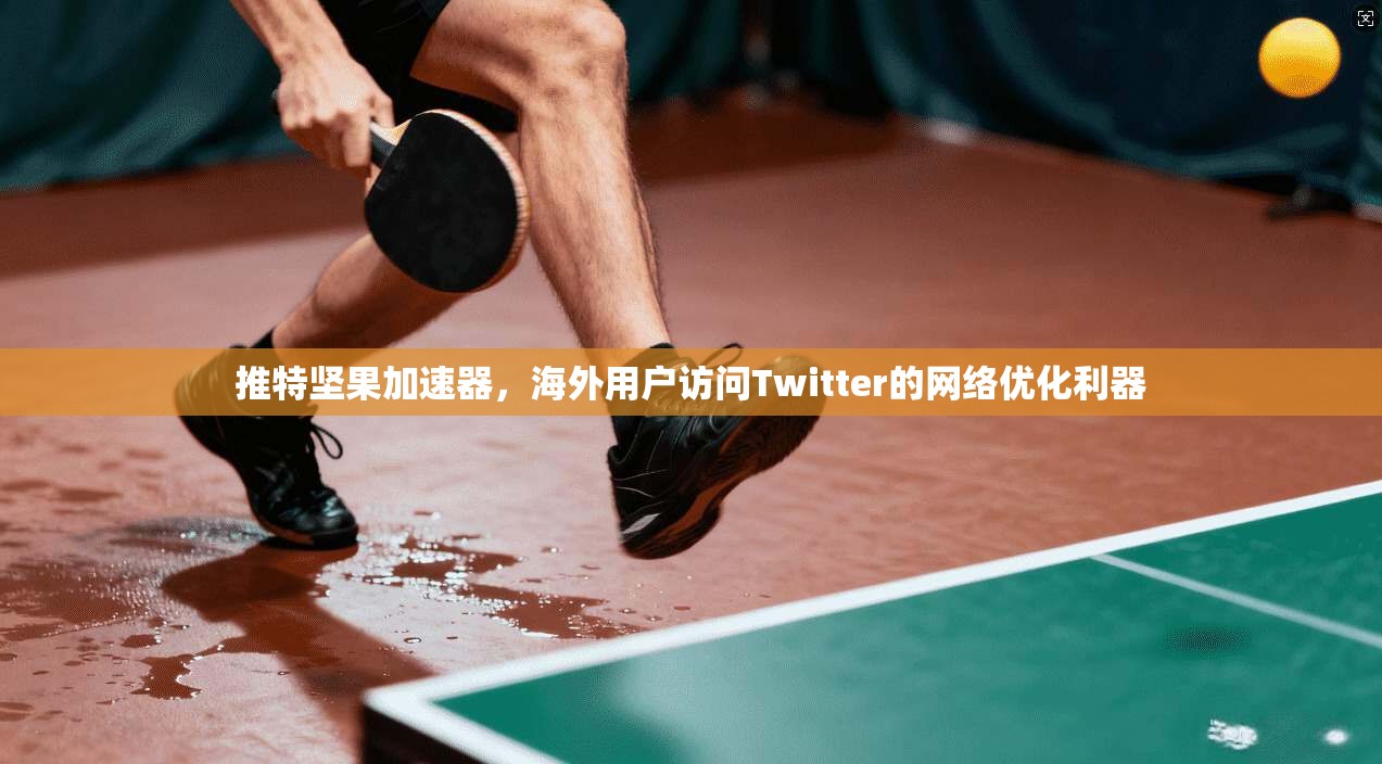 推特坚果加速器，海外用户访问Twitter的网络优化利器