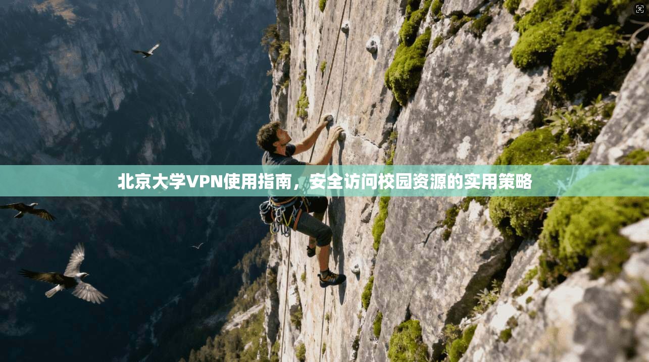 北京大学VPN使用指南,安全访问校园资源的实用策略