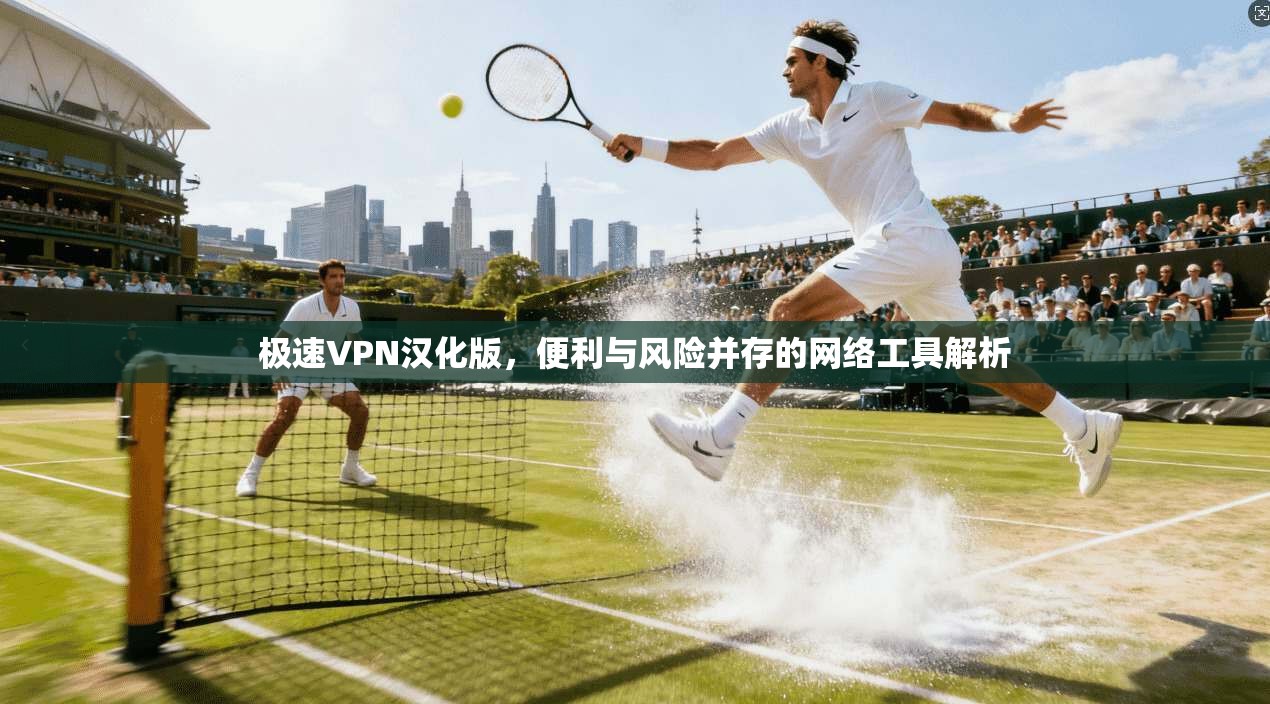 极速VPN汉化版，便利与风险并存的网络工具解析